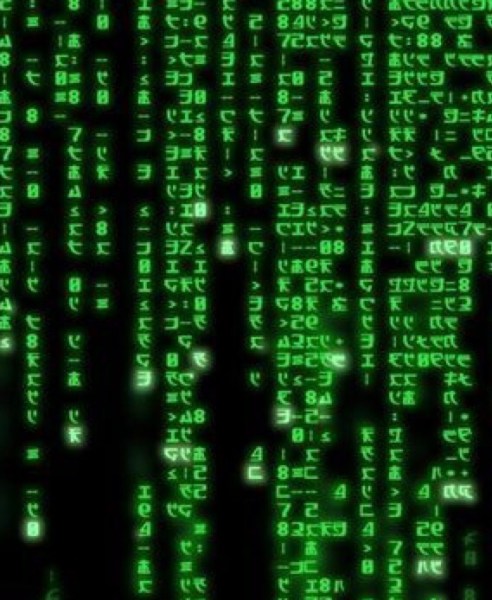 2BEBAA3D-C80B-4575-A3FE-0240DDC186DC